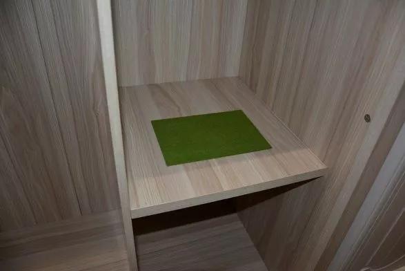 清华大学最新除甲醛黑科技，5分钟去除九成有害气，网友惊叹