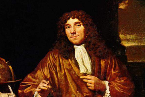 科学家发现精子运动规律,科学家们首次发现精子的运动规律