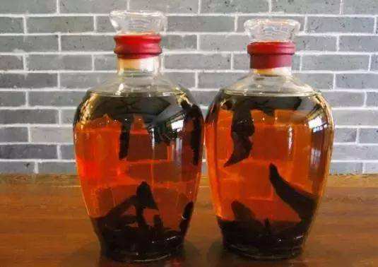 灵芝煎水可以长期喝吗,水灵芝泡水功效与禁忌