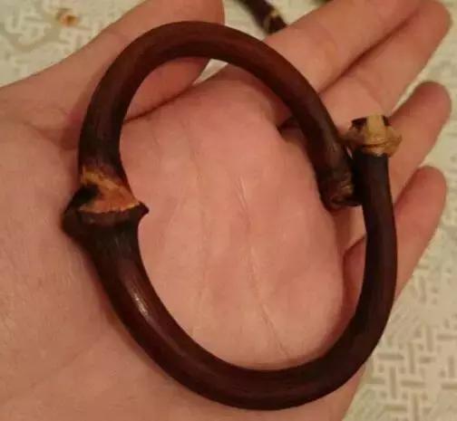 等疫情结束了我想回趟老家,等疫情结束了我想回安徽