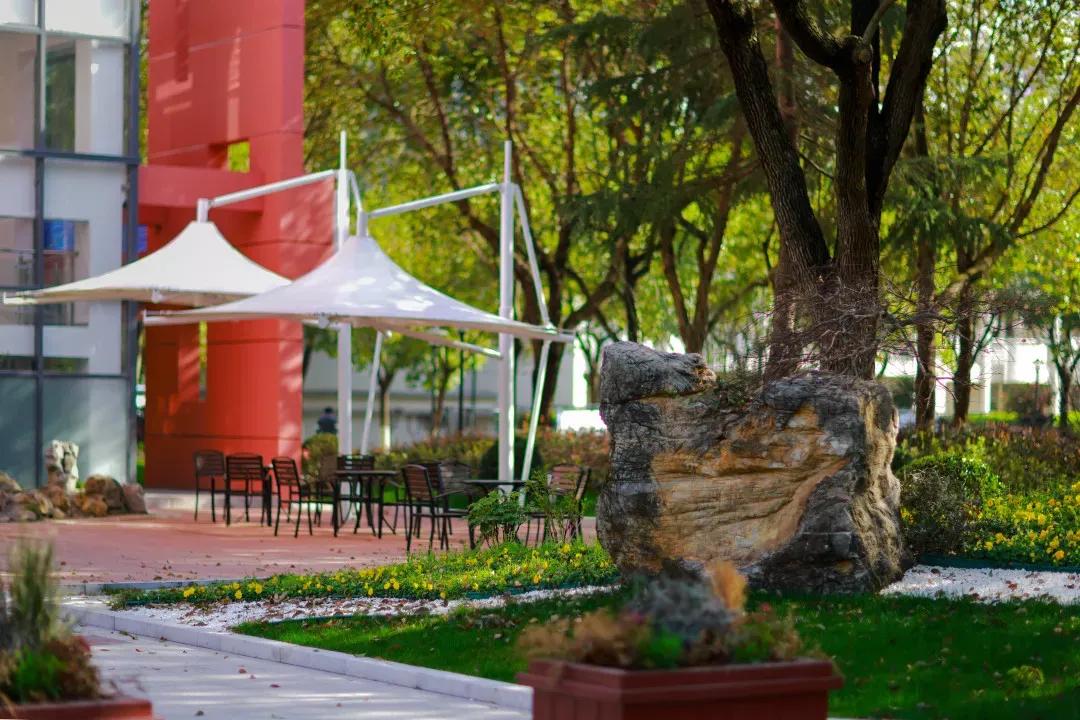 鑻忓窞澶у鏂囨瀛﹂櫌浠嬬粛,鑻忓窞澶у鏂囨瀛﹂櫌鍥剧墖