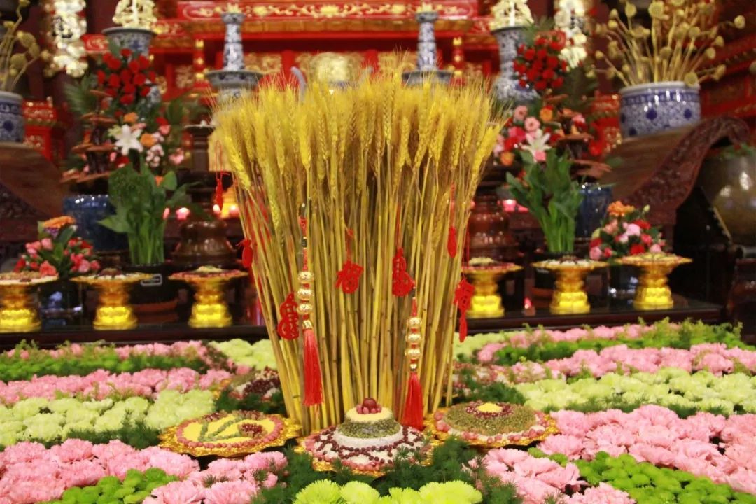 邢台大开元寺“战疫”共祈：山河同春众生无恙，国界安稳风雨顺时