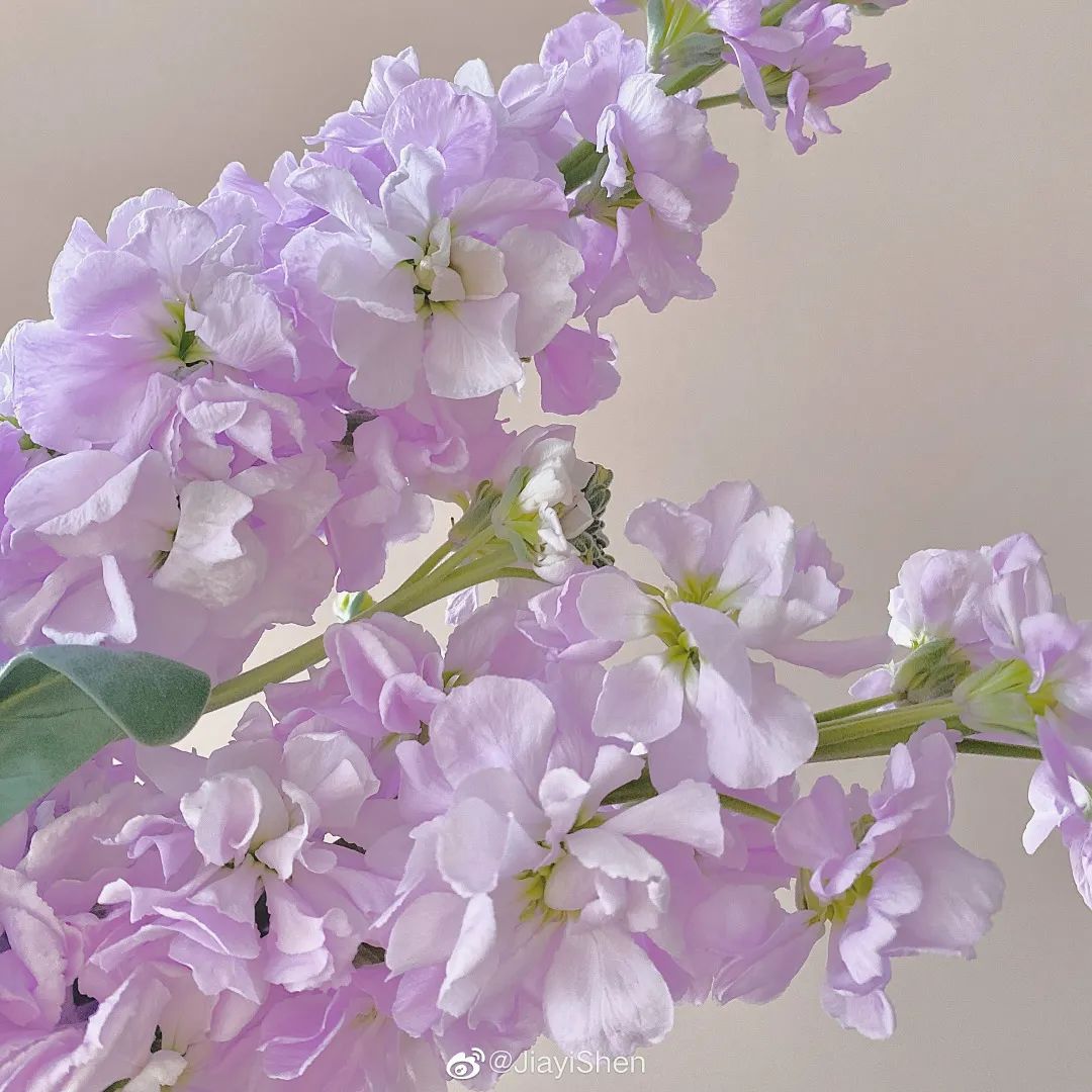 春夏就该选温柔挂！这个颜色的单品你衣柜里有吗？