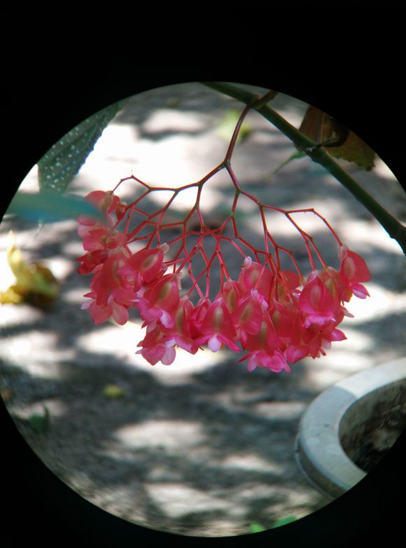 宾得1036望远镜怎么样,宾得ad1036wp好吗