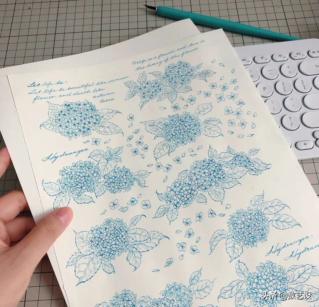 一眼入坑的镜头,一眼入坑下一句