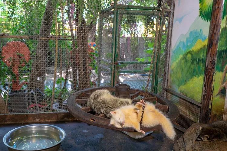 一生必看的三亚千古情,一生必看的三亚演唱