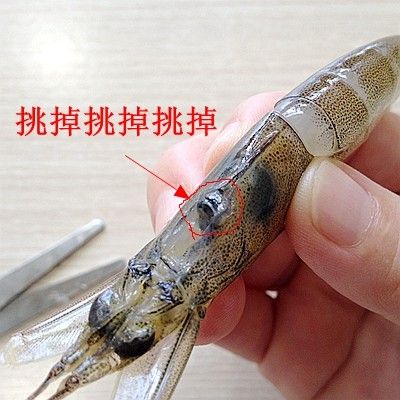虎皮虾的正确处理方法,虾的正确处理方法和做法视频