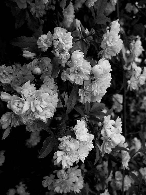 对门老人去世了我要去吗,家对面的老太太去世了