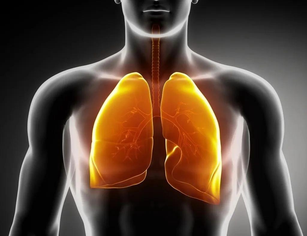 呼吸到腰百病全消,呼吸入腰百病消的下一句