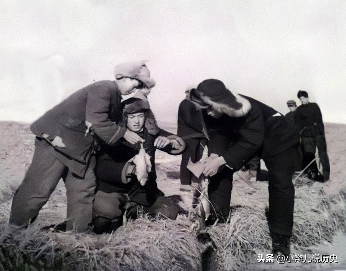 除四害灭老鼠的方法,除四害灭老鼠