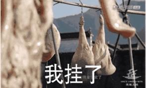 最新神仙综艺节目,2019高分冷门的良心综艺安利