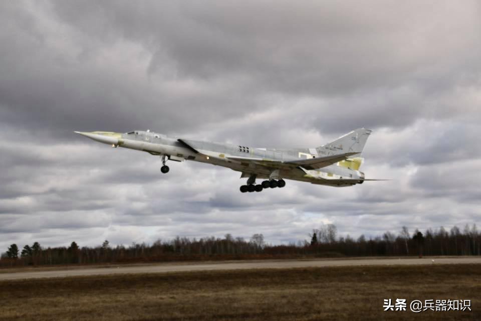 鸟中之王排行榜,鸟中之王