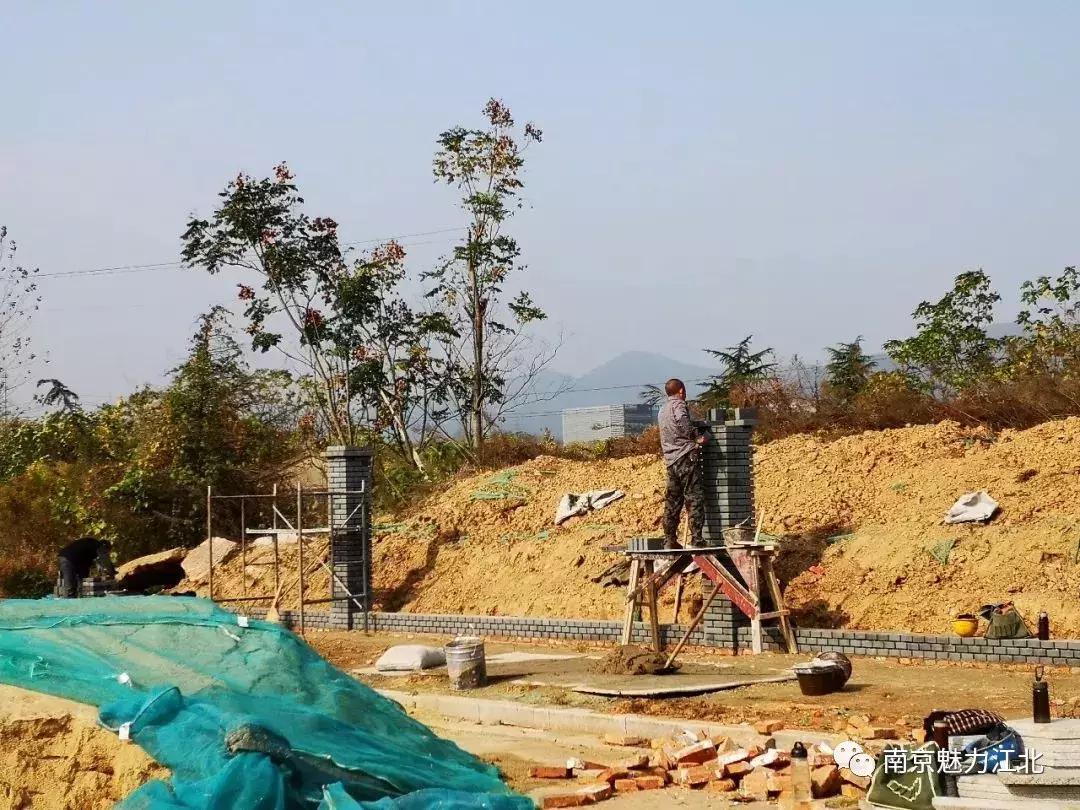 江北核心区重磅学校,江北核心区会有什么名校入驻