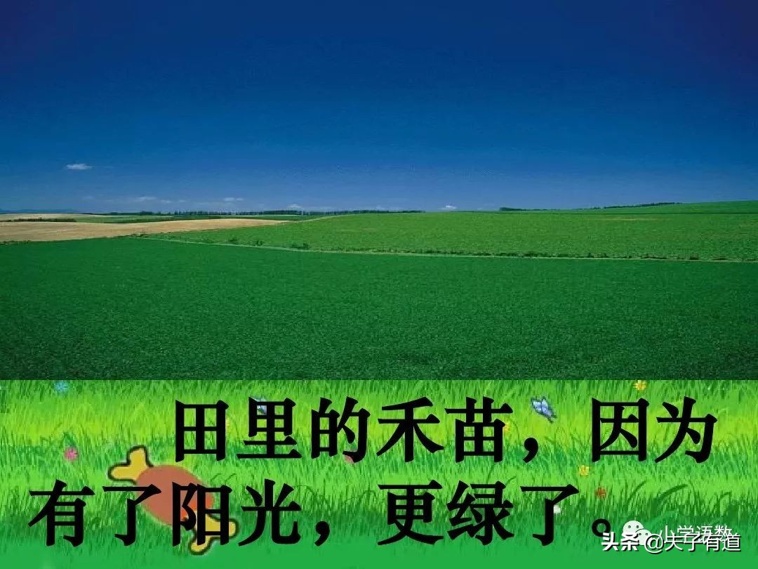 一年级语文下册语文园地二展示台,部编版一年级下册语文园地二练习