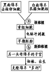 选修三生物教材全解,选修三生物专题一