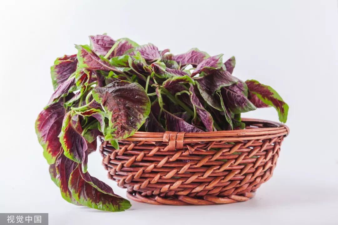 苏州本地人怎么吃,苏州人说好吃