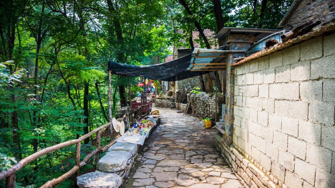 秋天的杭州自驾游,杭州秋冬自驾