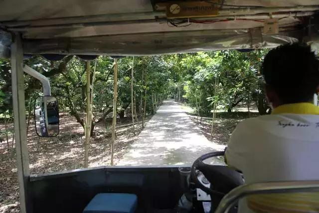 泰国芒果自助,泰国吃喝玩乐攻略榴莲自助餐