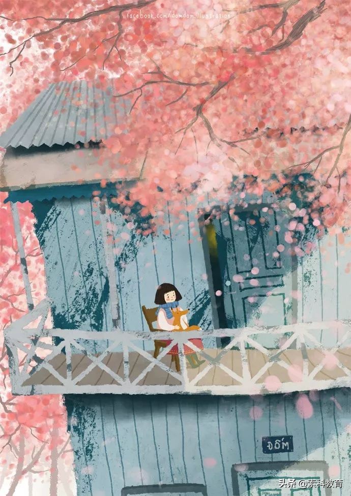 自主招生一般都考啥,自主招生要考什么内容