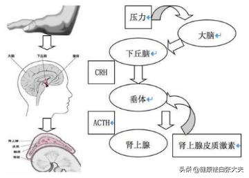销售员小张的一天,销售员小张