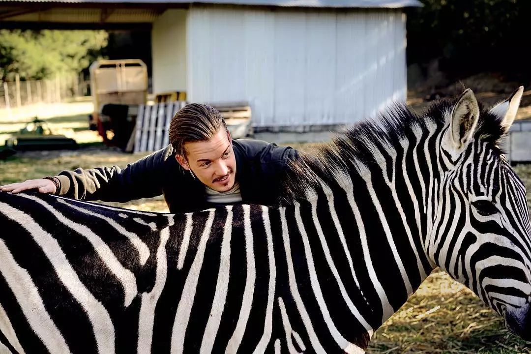 放弃百万年薪，去非洲撸猫？长腿版小李子引63w人舔屏：看我看我