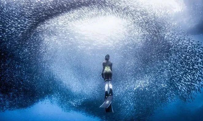 疫情期干点啥好挣钱,疫情期做什么