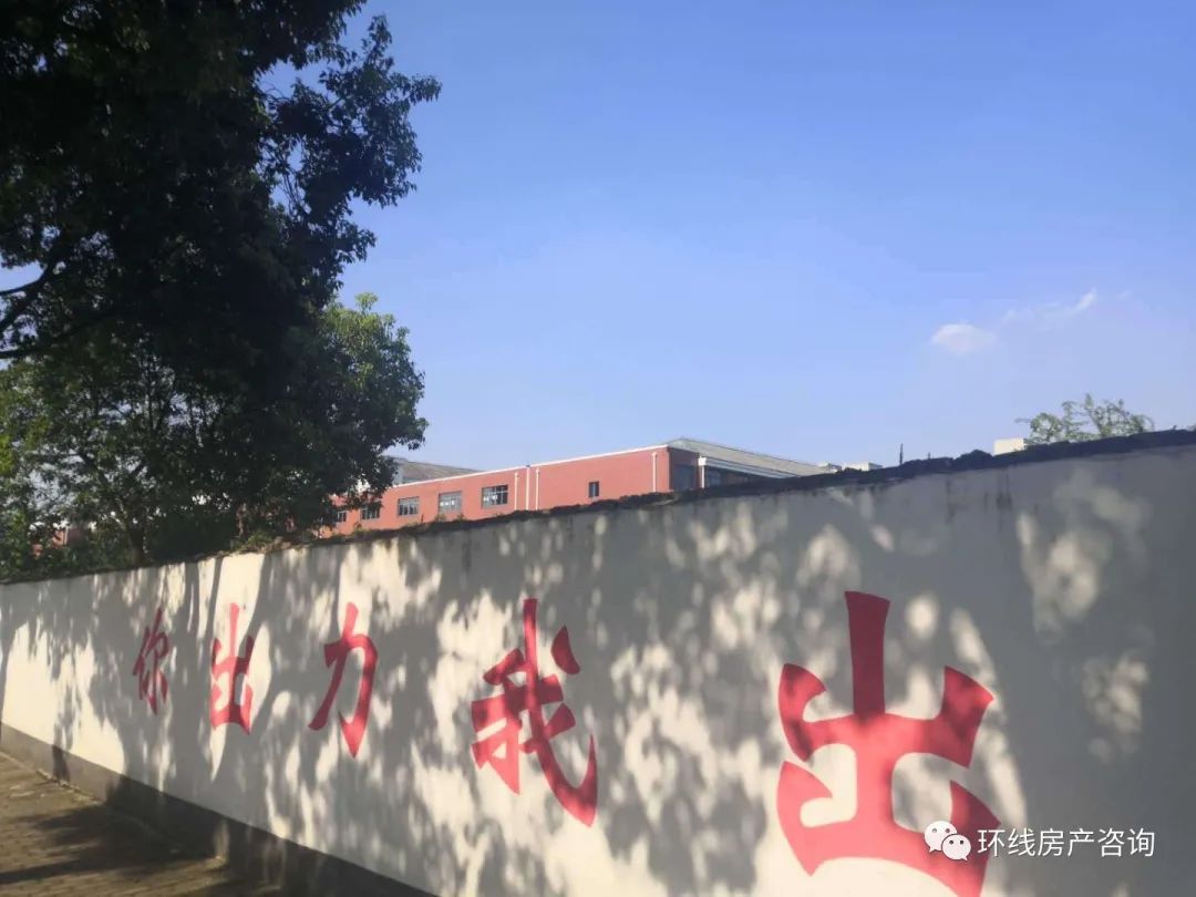 川沙值得买吗,川沙卖观赏鱼