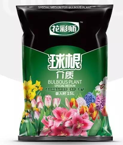 百合怎么样养得更持久,百合新手