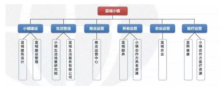 与康养、教育巨头合作，深剖蓝城集团的产业方向和路径