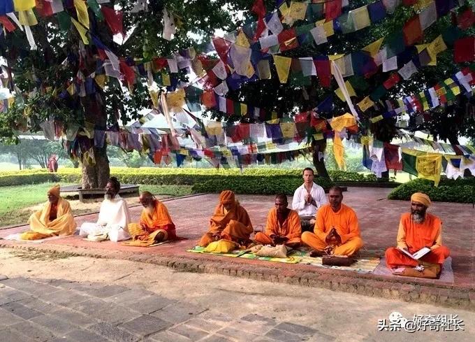 你知道印度新闻有多奇葩么,印度11人灭门案真相