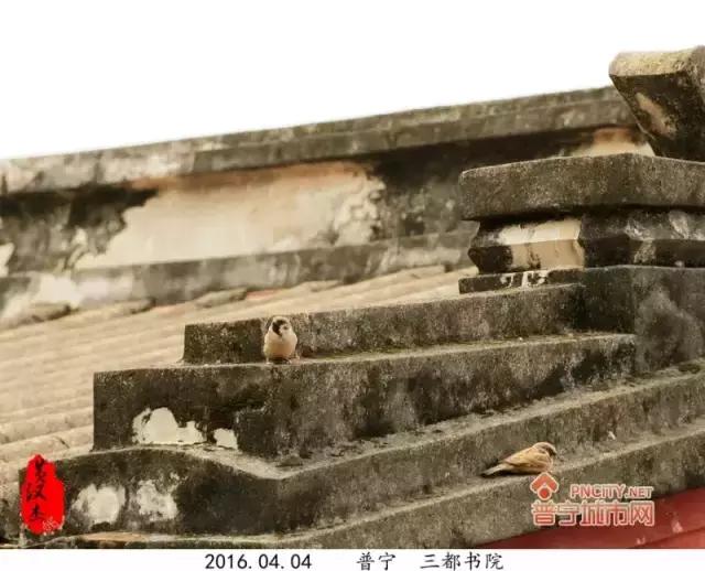 普宁三都中学怎么样,普宁都有哪些学校