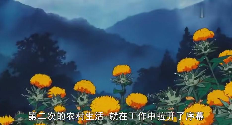 宫崎骏笔下的红花到底是个怎样的植物？