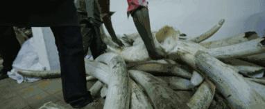 只为一串佛珠，他活剥了我妈的皮：人心有多可怕，你根本想象不到