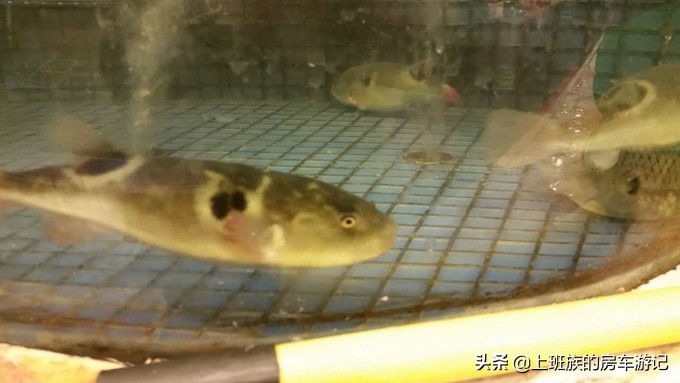 南通狼山一日游详细攻略图,夏天南通狼山一日游详细攻略