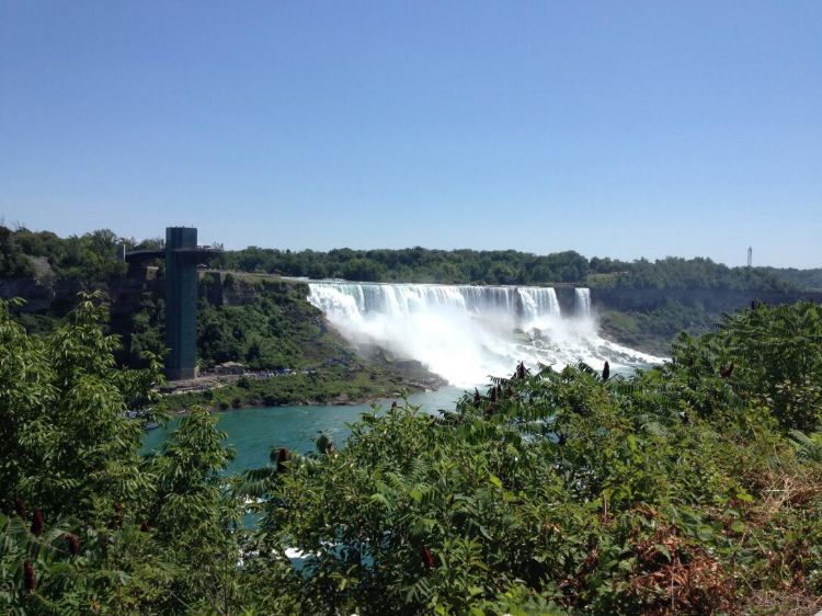 留学出国的目的是什么,出国留学是选择留下还是归国