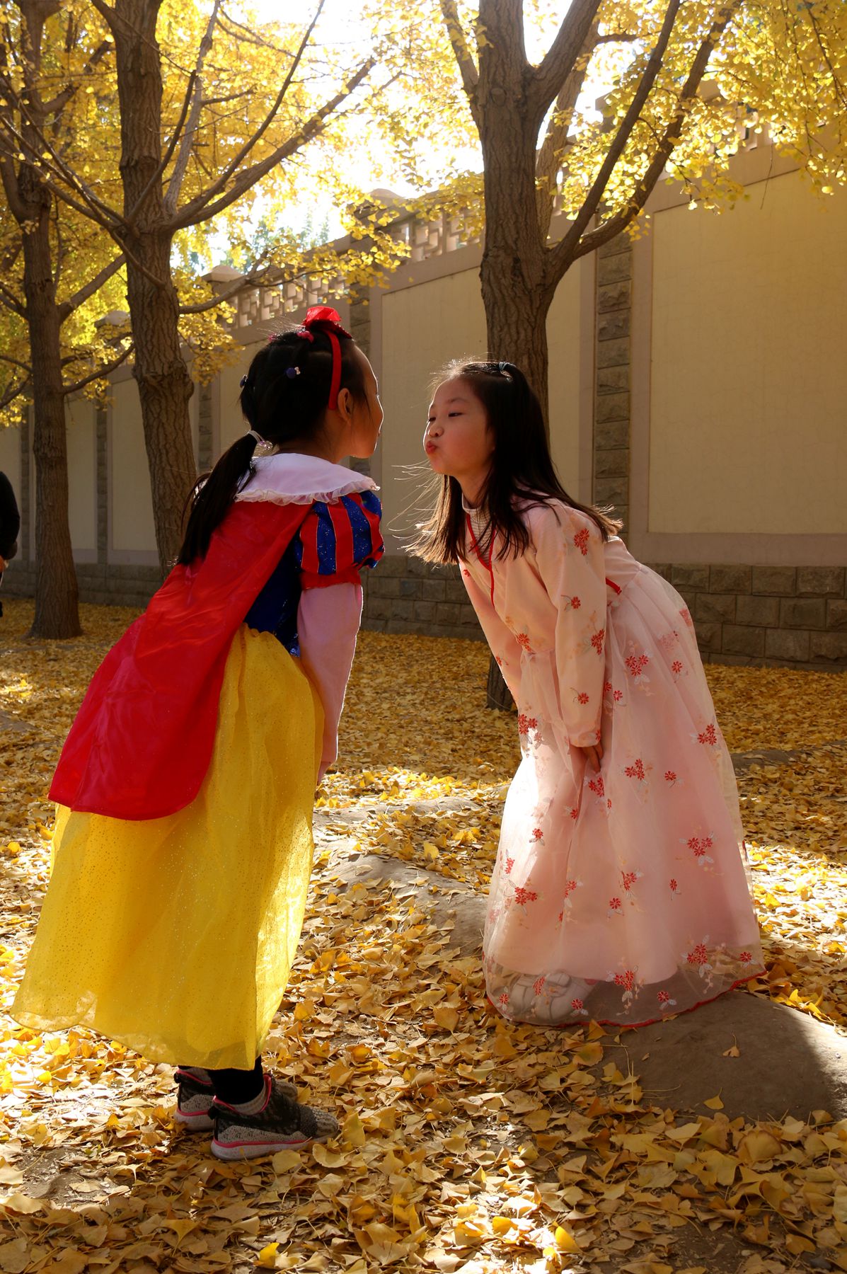 北京钓鱼台国宾馆银杏树大道,北京钓鱼台银杏大道图片