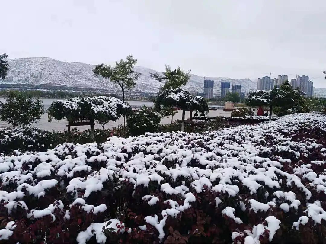 平凉崆峒区四路车现在停运了吗,平凉长途客车停运了吗