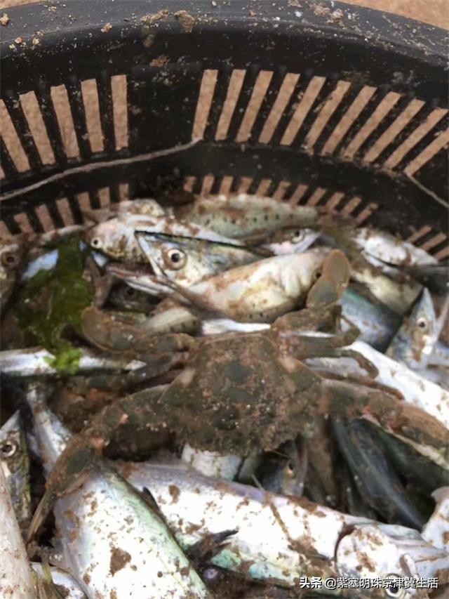 东戴河旅行真正的海景度假村,辽宁海边度假村自由行攻略