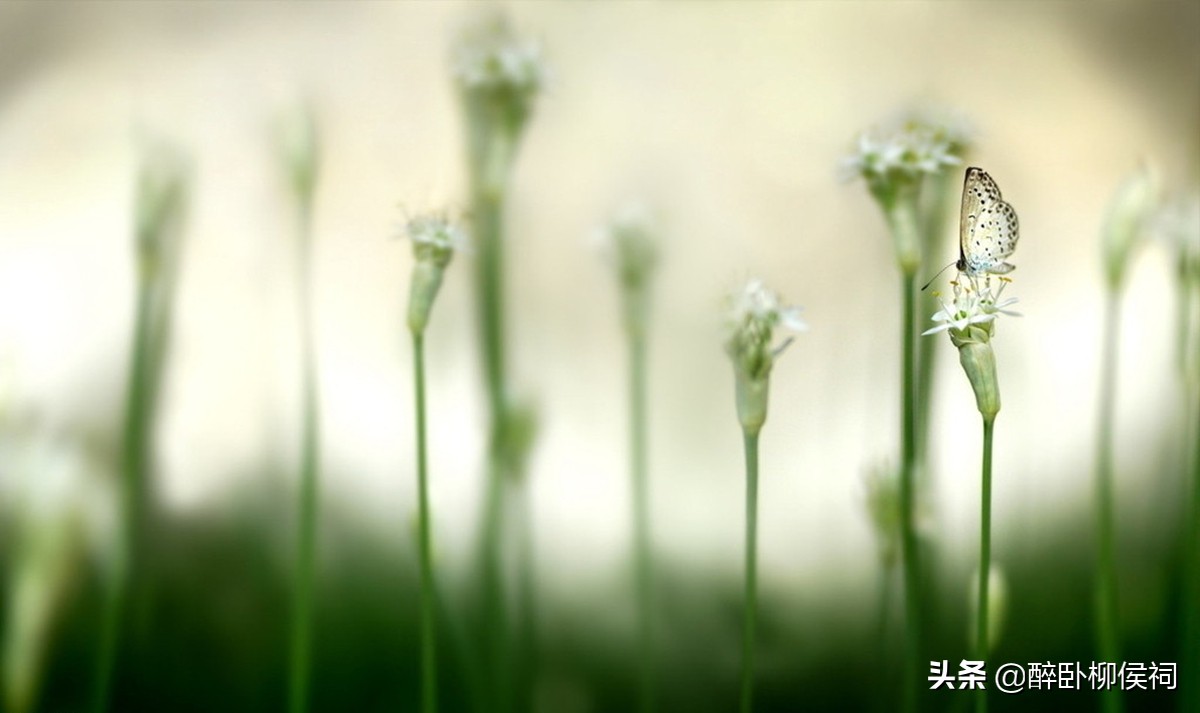 女博士的最佳选择,女博士最后悔的选择