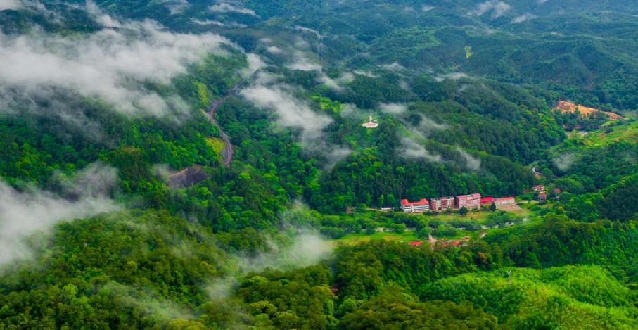 中国绿都最氧三明,中国最氧三明花海