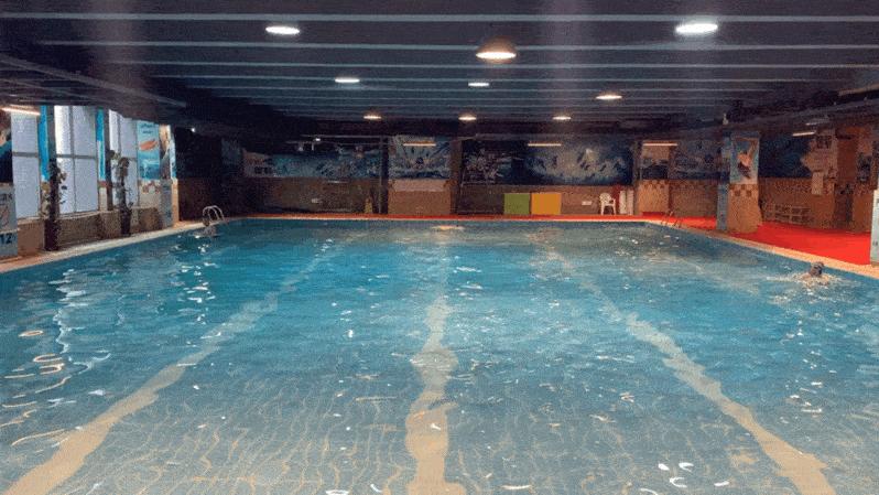 游泳移臂训练动作分解,自游泳怎么练习高肘抱水