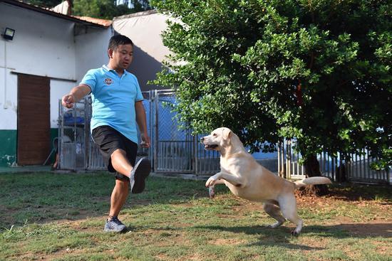 专门培训狗狗,狗狗训练中心培训基地训狗