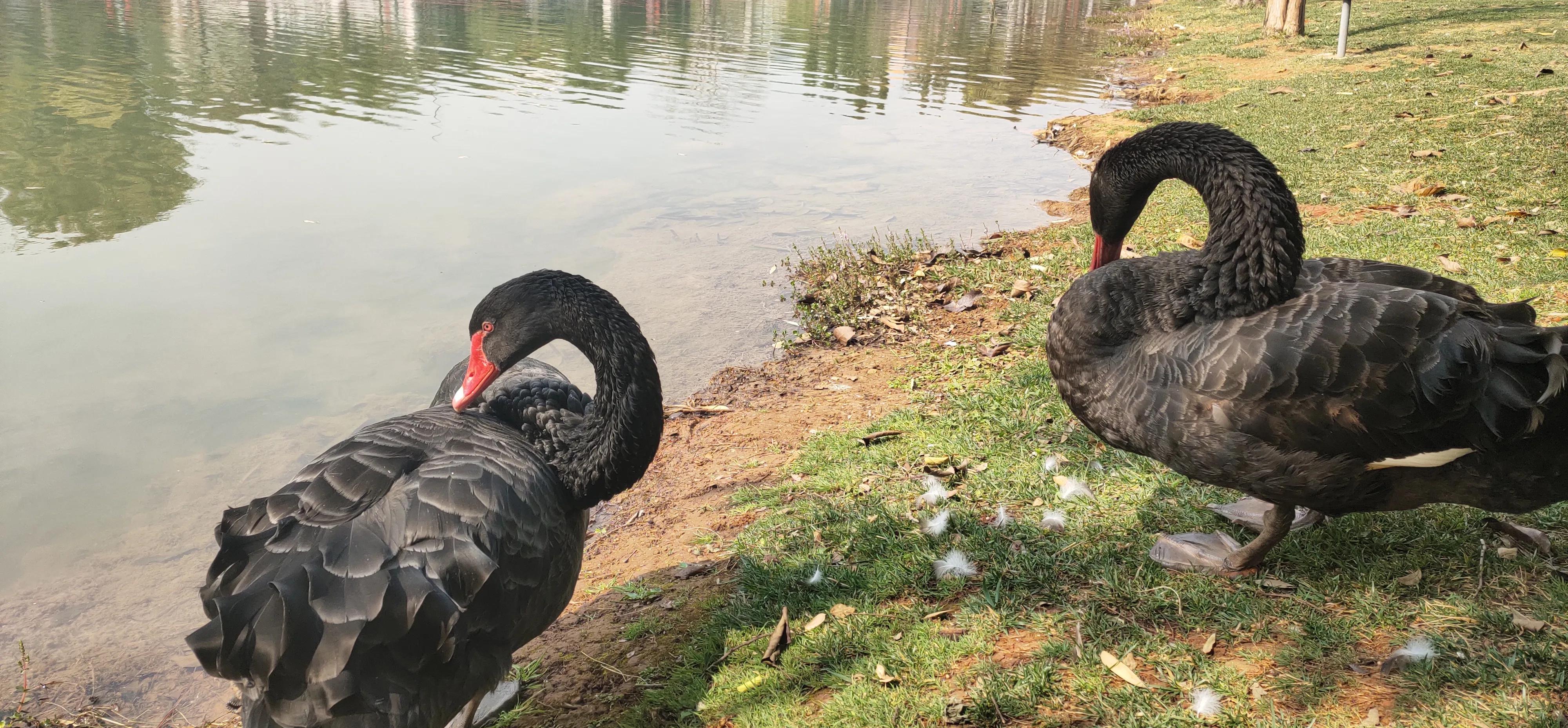 弥勒居住养老优缺点,弥勒市天气适宜养老吗
