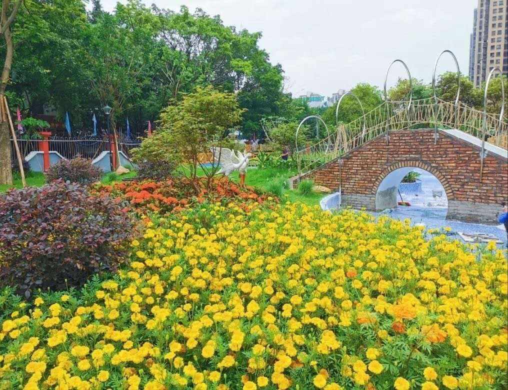 斑马装饰店,斑马装饰花垣