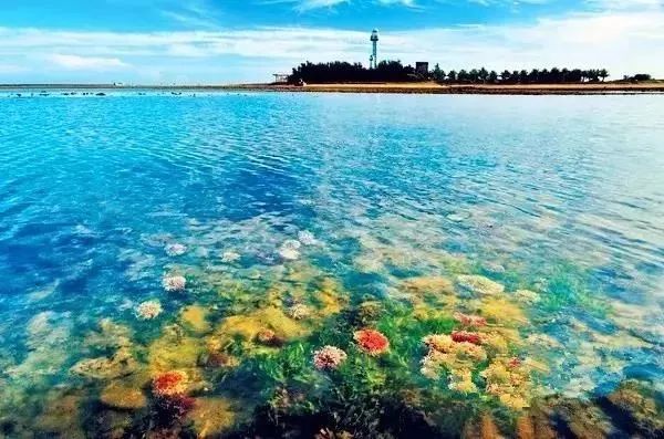 距海南20km有片处女地，比台湾风情比三亚便宜，路过都错过了