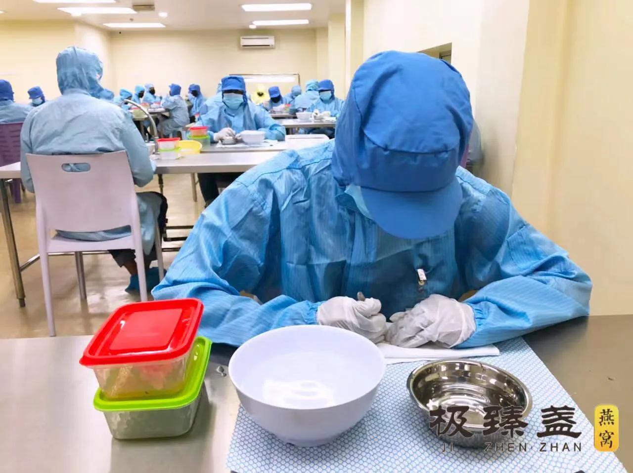 泰国燕窝有没有比印尼和马来便宜,马来印尼燕窝三角盏