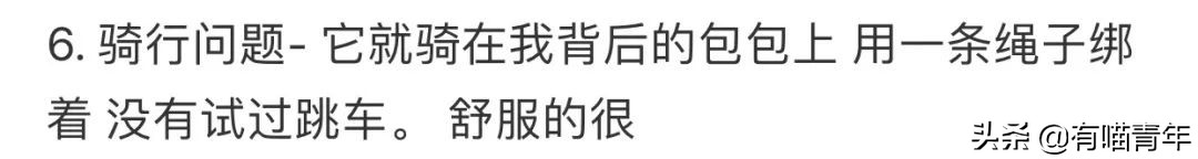 网红绑猫*藏西**骑行求关注,遭网友质疑回怼:比在家里刺激多了