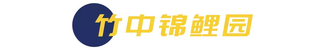 深圳哪里有摩天轮可以坐,深圳哪里有免费摩天轮