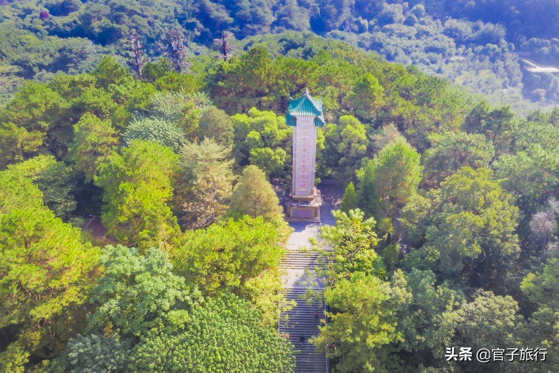 再游青秀山，看“熊猫级”国宝苏铁王，只为千年等一回的告别