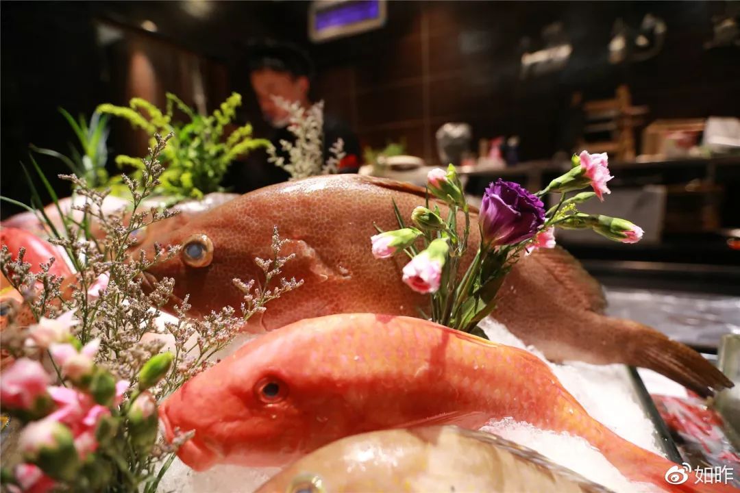 美食大咖私房菜,精选美食推荐让你的味蕾享受盛宴